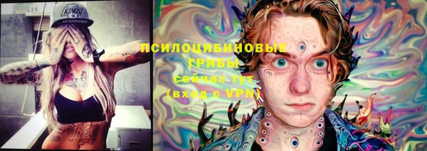 мдма Дмитриев