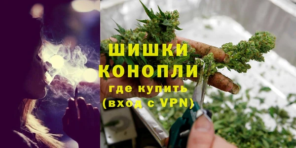 тгк Дмитровск